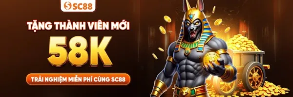 sc88a8 đăng nhập